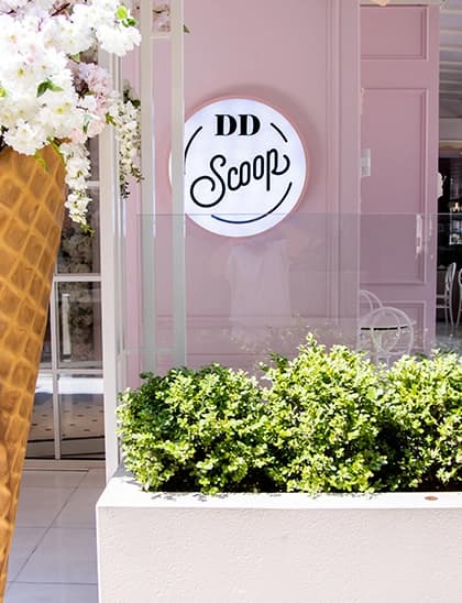DDSCOOP